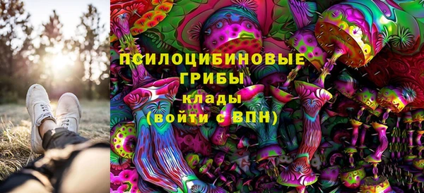 тгк Аркадак