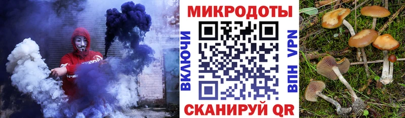Псилоцибиновые грибы Psilocybine cubensis  что такое наркотик  Петухово 